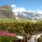 Madonna di Campiglio: fiori di condine (M. Maturi)